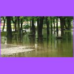 Flood 4.jpg